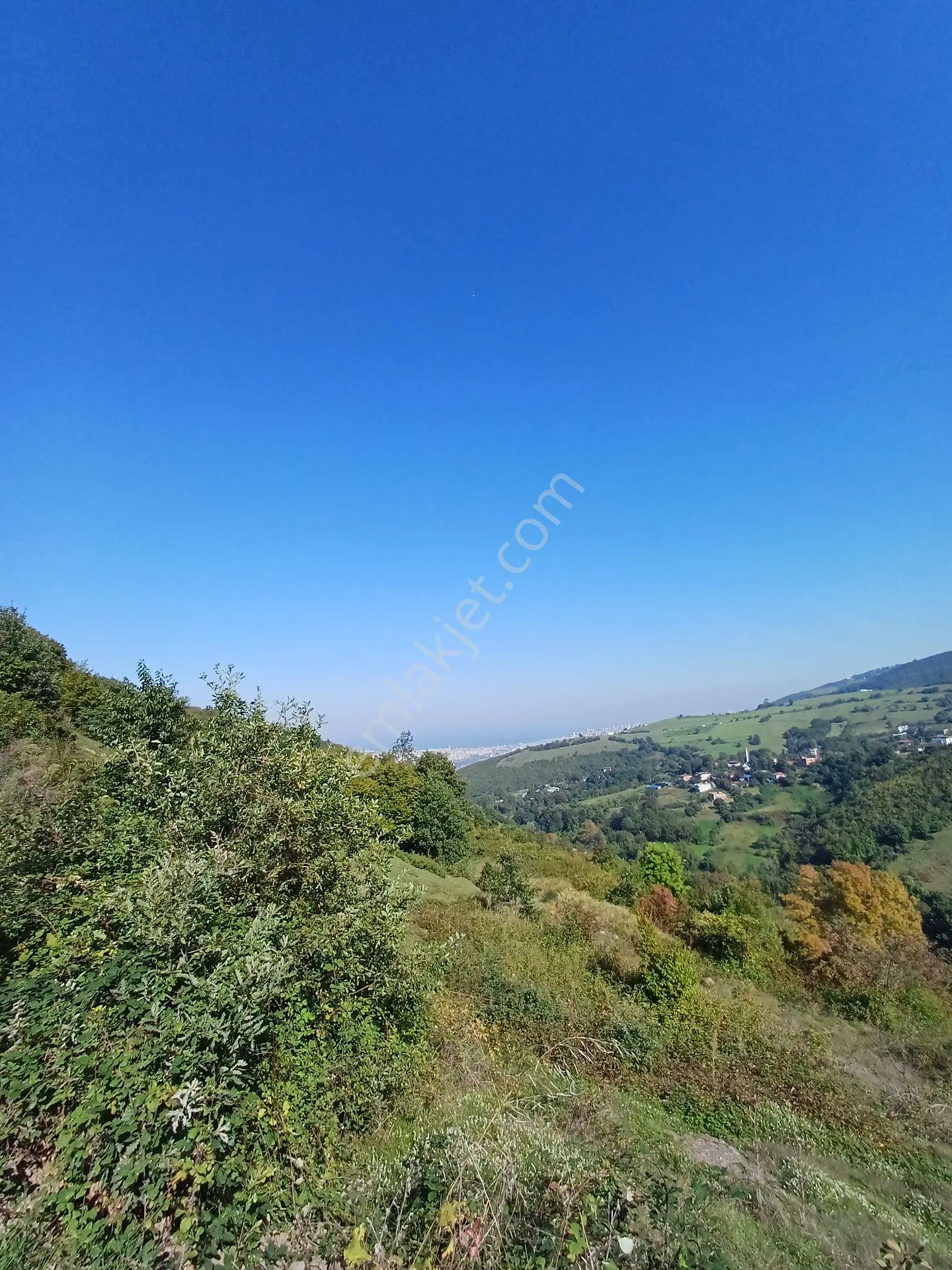 Bölgesinin En Uygunu — fotoğraf 4