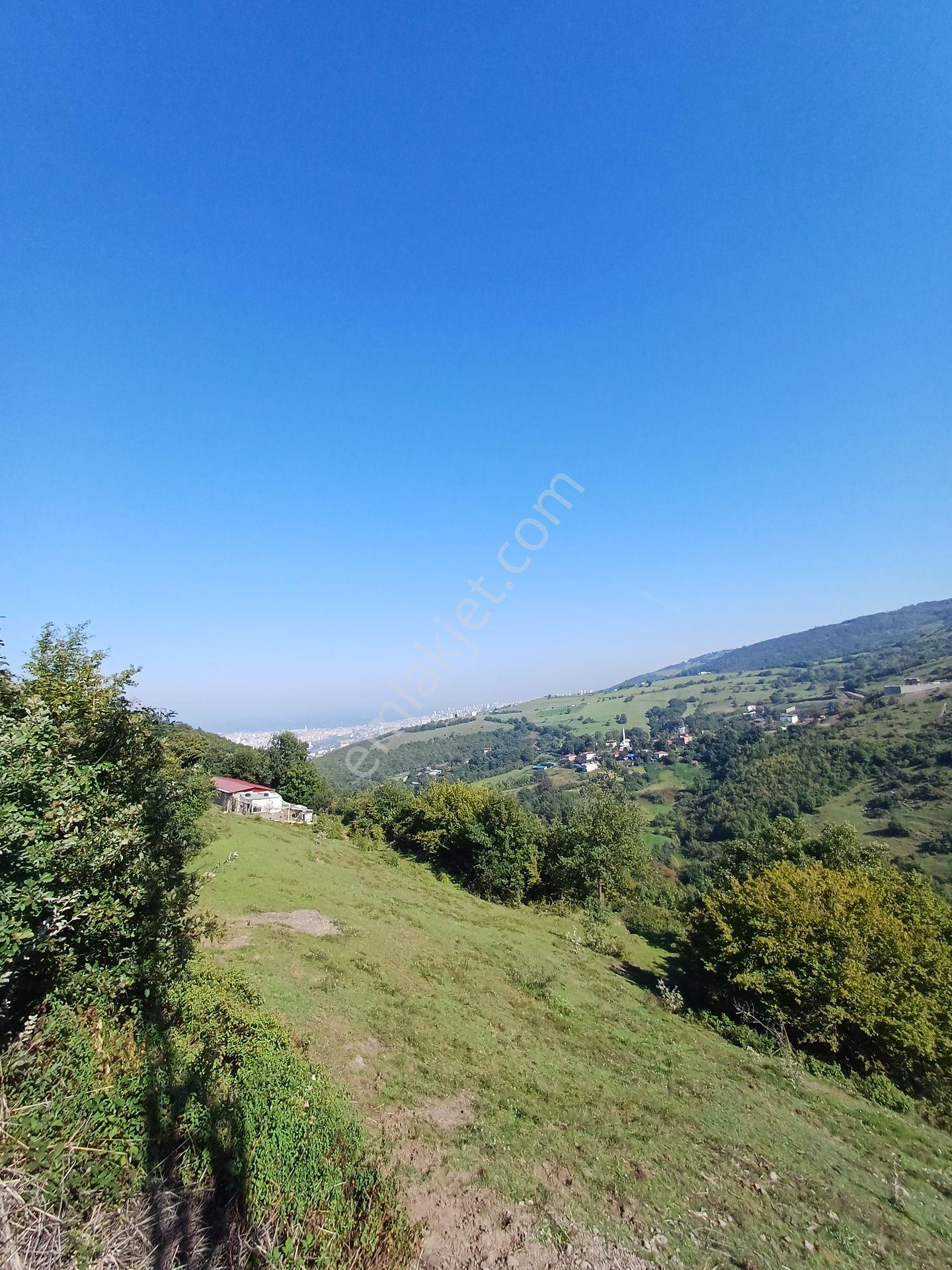 Bölgesinin En Uygunu — fotoğraf 6