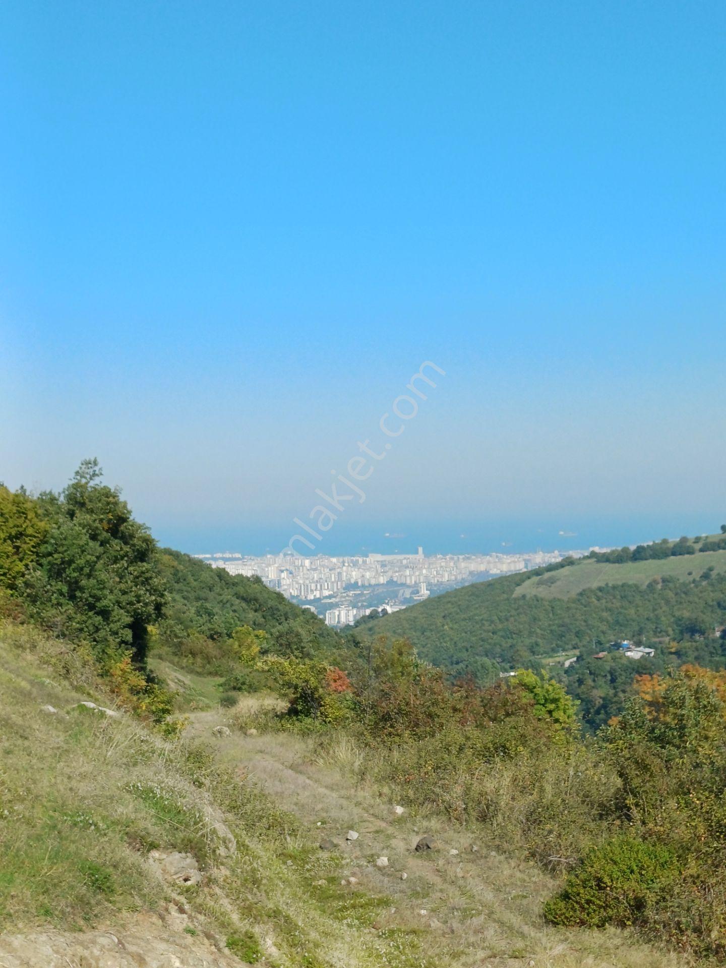 Bölgesinin En Uygunu — fotoğraf 7