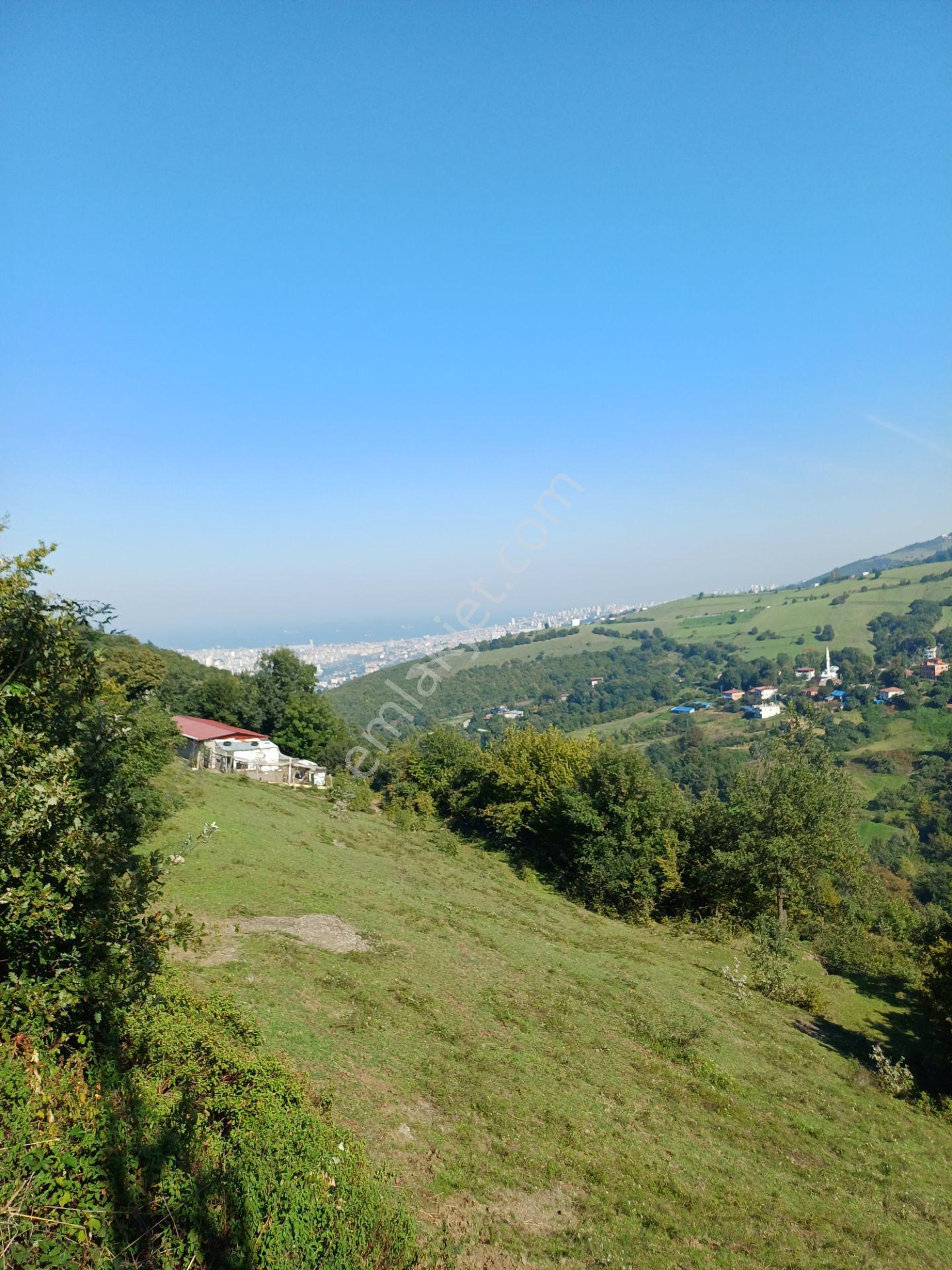 Bölgesinin En Uygunu — fotoğraf 8