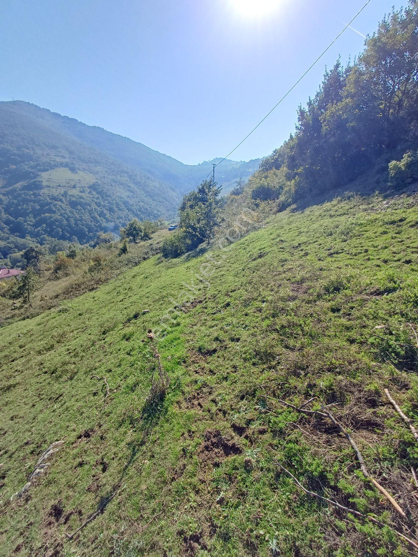 Bölgesinin En Uygunu — fotoğraf 9