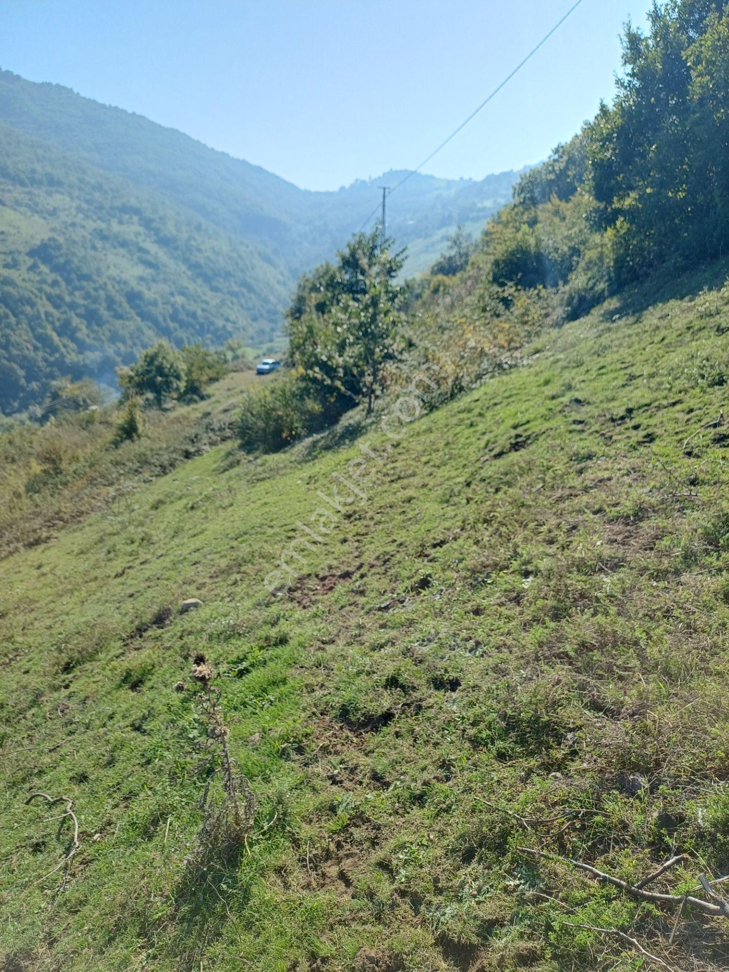 Bölgesinin En Uygunu — fotoğraf 10