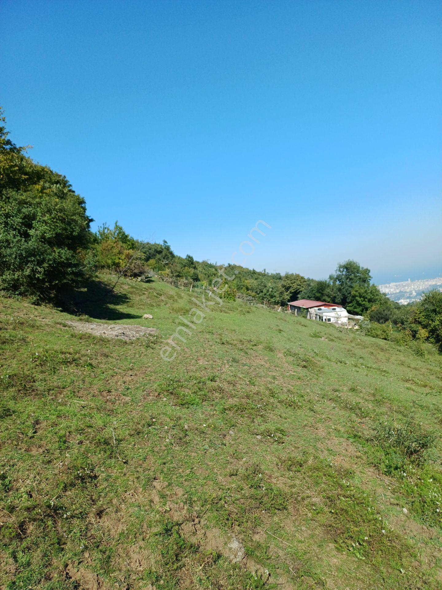 Bölgesinin En Uygunu — fotoğraf 11