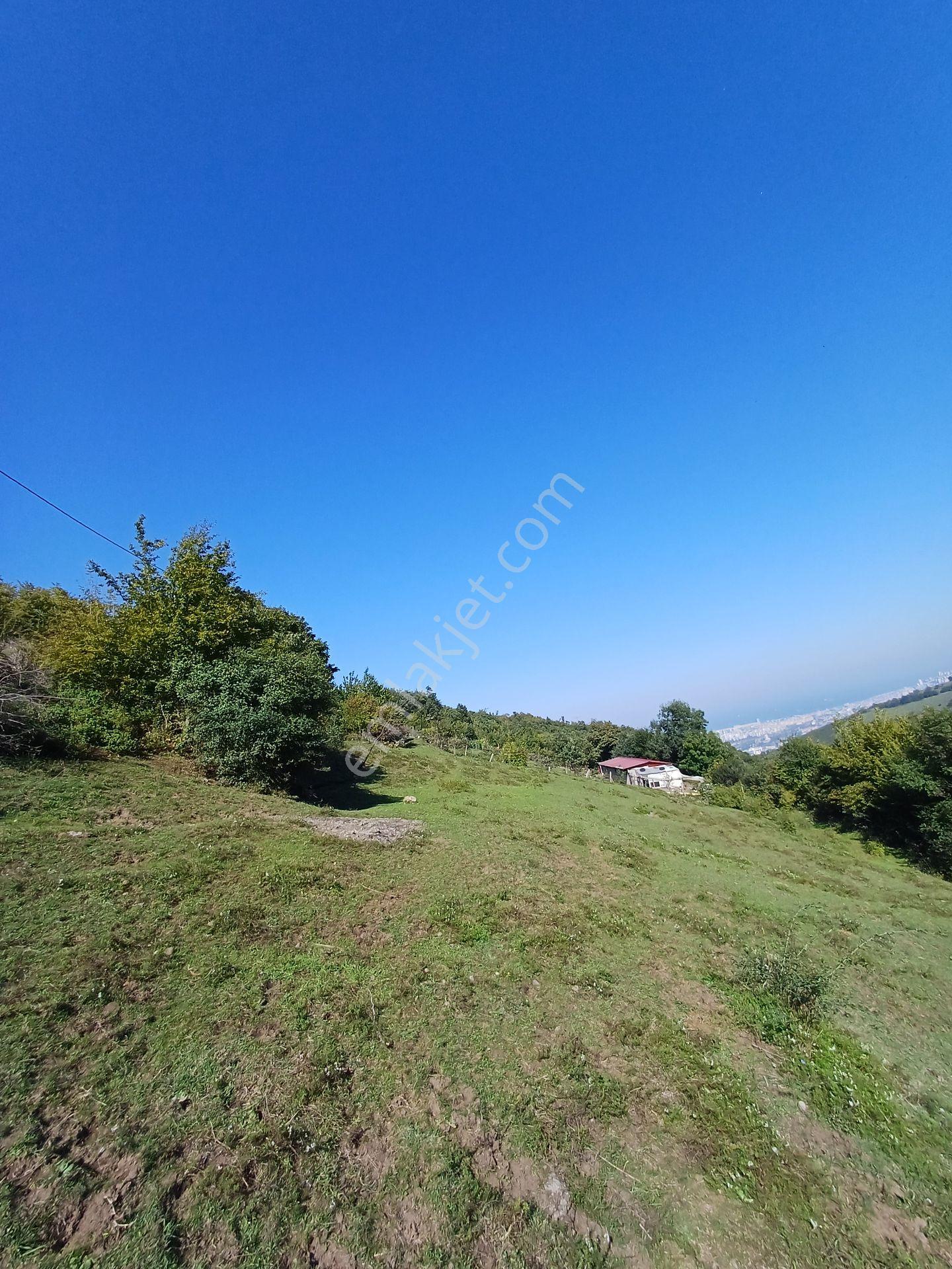 Bölgesinin En Uygunu — fotoğraf 12
