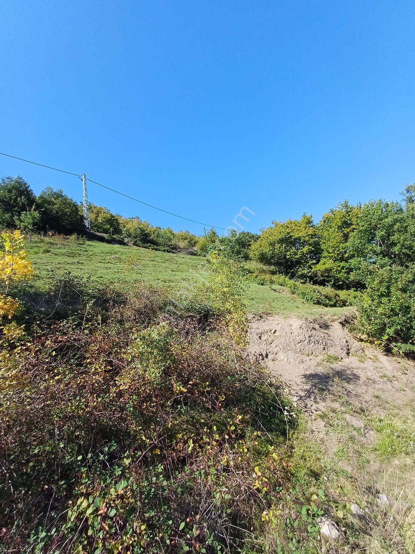 Bölgesinin En Uygunu — fotoğraf 15