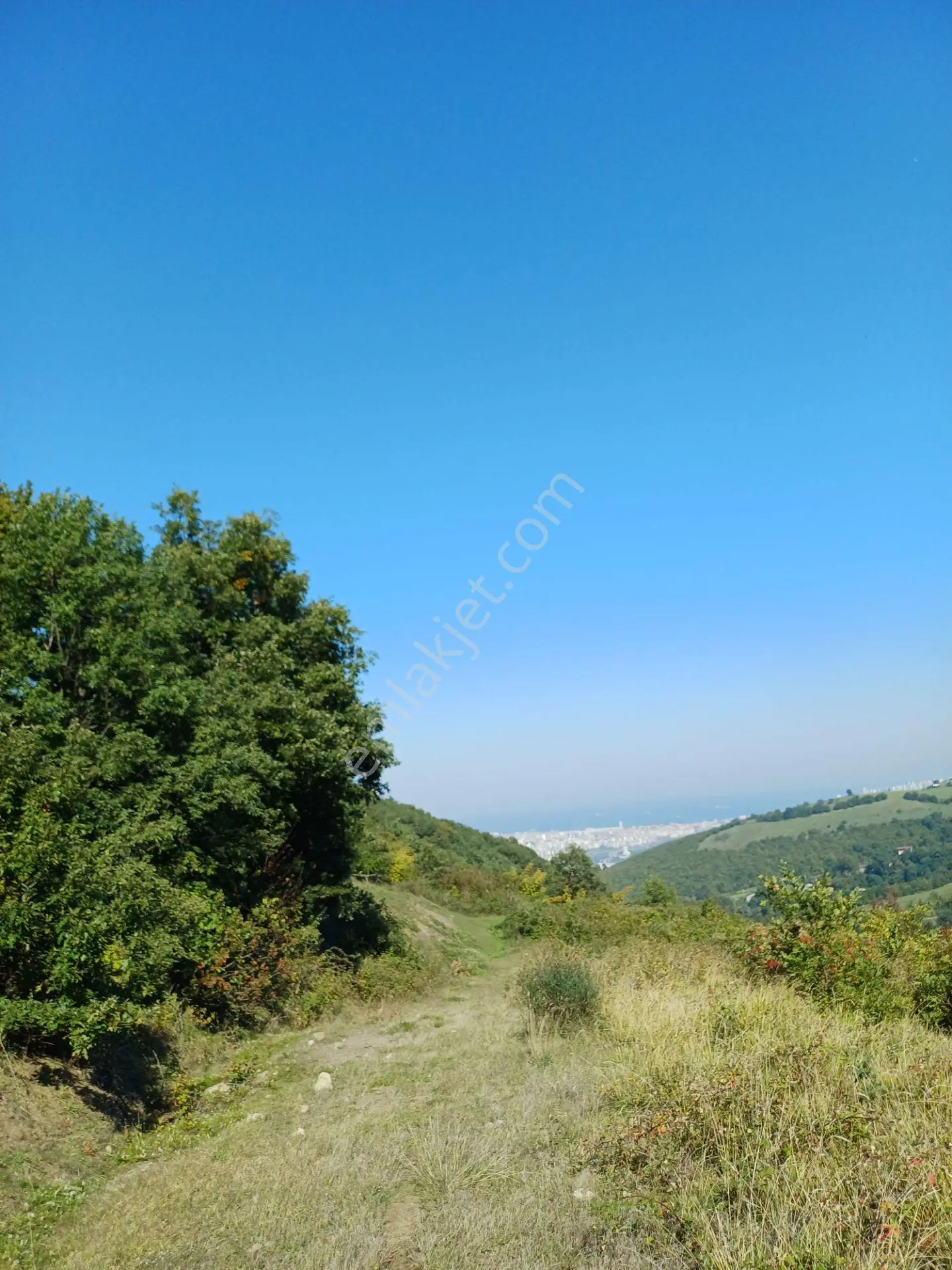 Bölgesinin En Uygunu — fotoğraf 16