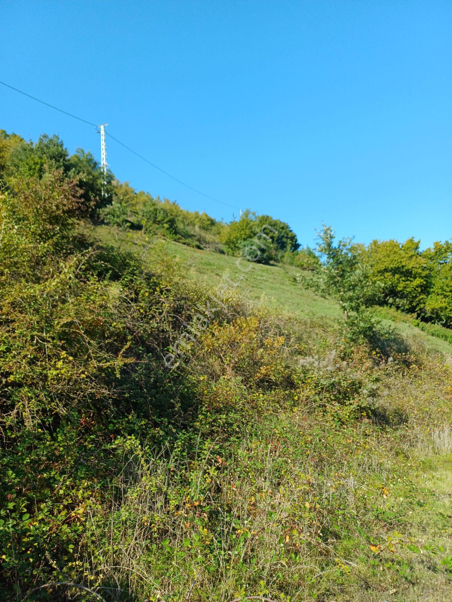 Bölgesinin En Uygunu — fotoğraf 17