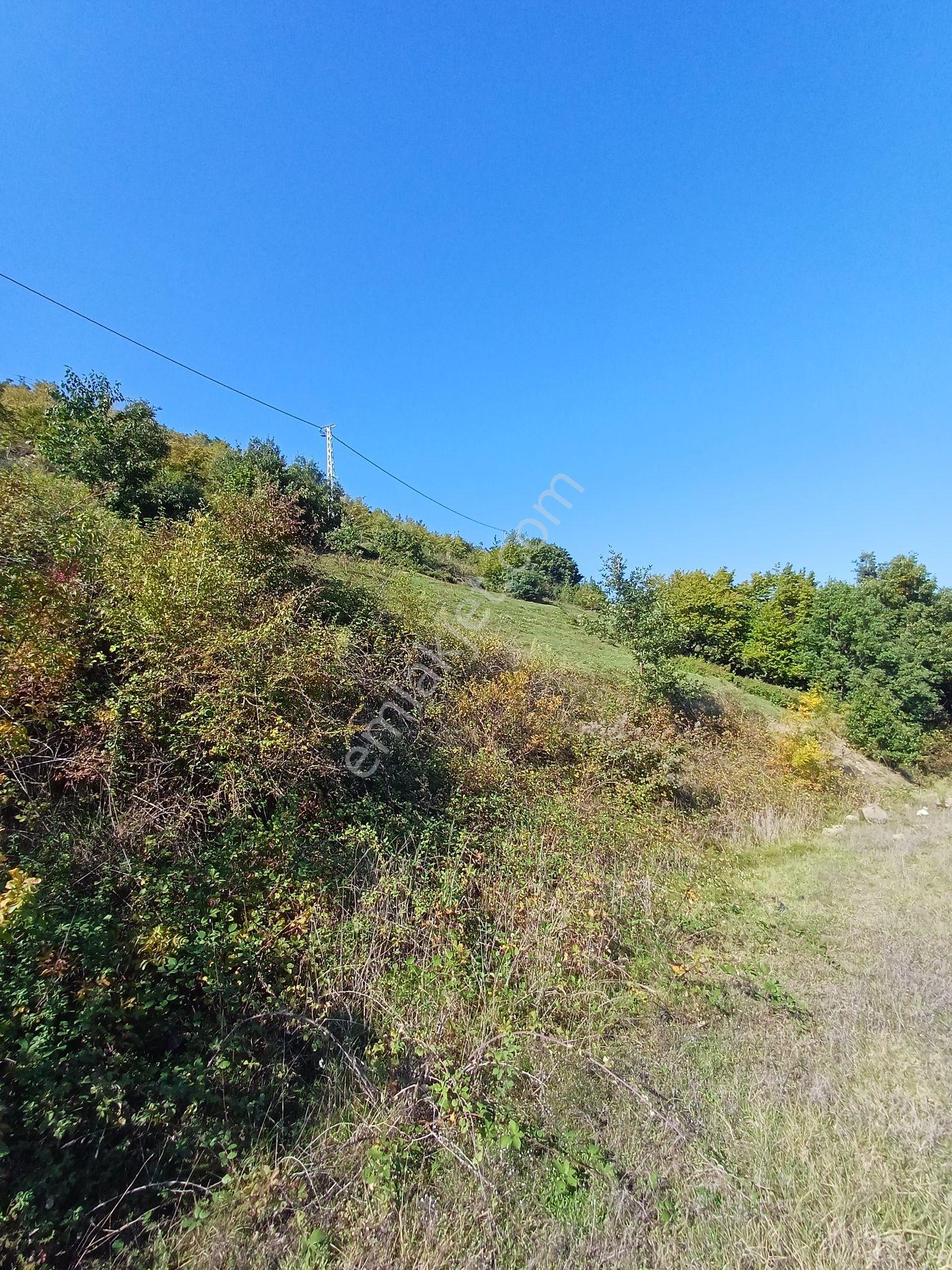 Bölgesinin En Uygunu — fotoğraf 18