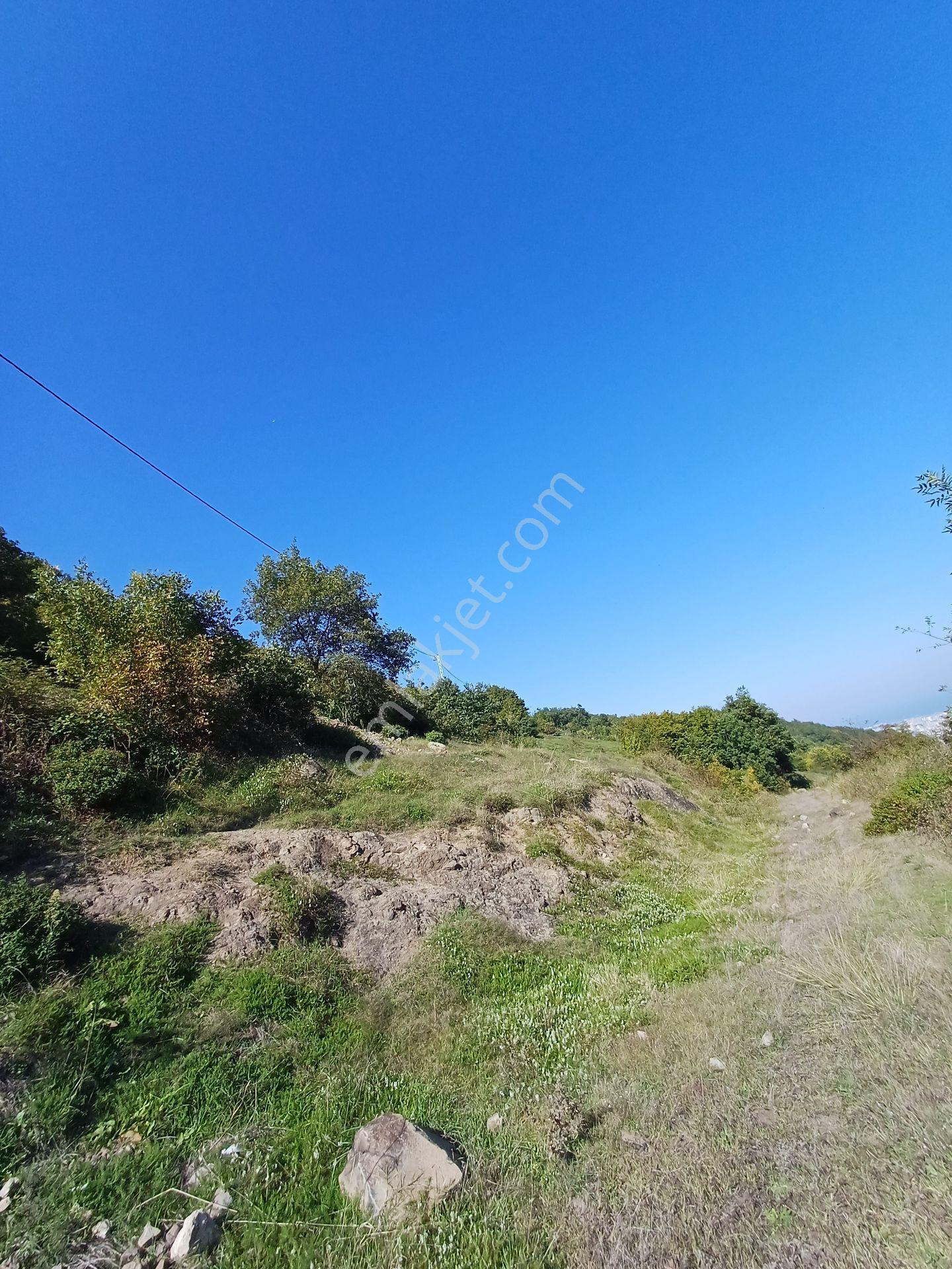 Bölgesinin En Uygunu — fotoğraf 19