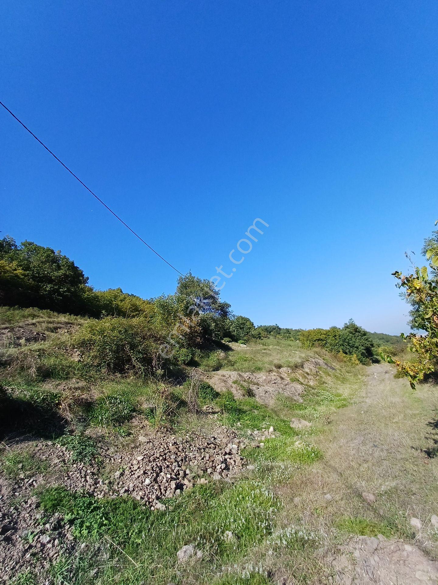 Bölgesinin En Uygunu — fotoğraf 20