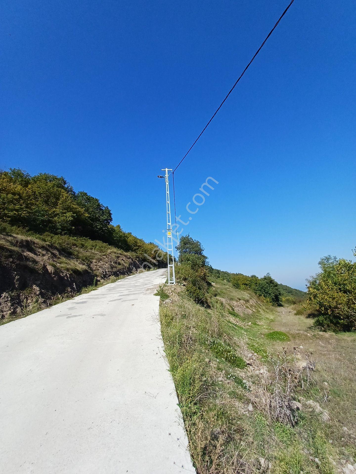 Bölgesinin En Uygunu — fotoğraf 21