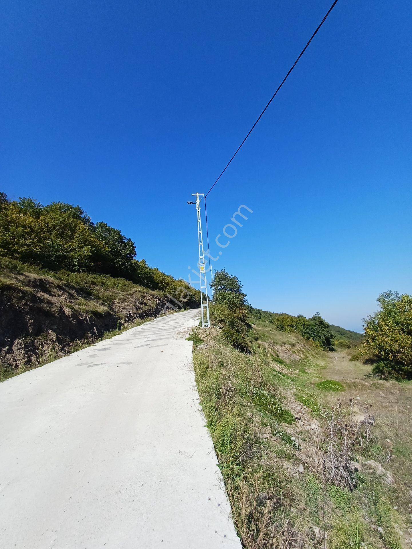 Bölgesinin En Uygunu — fotoğraf 22