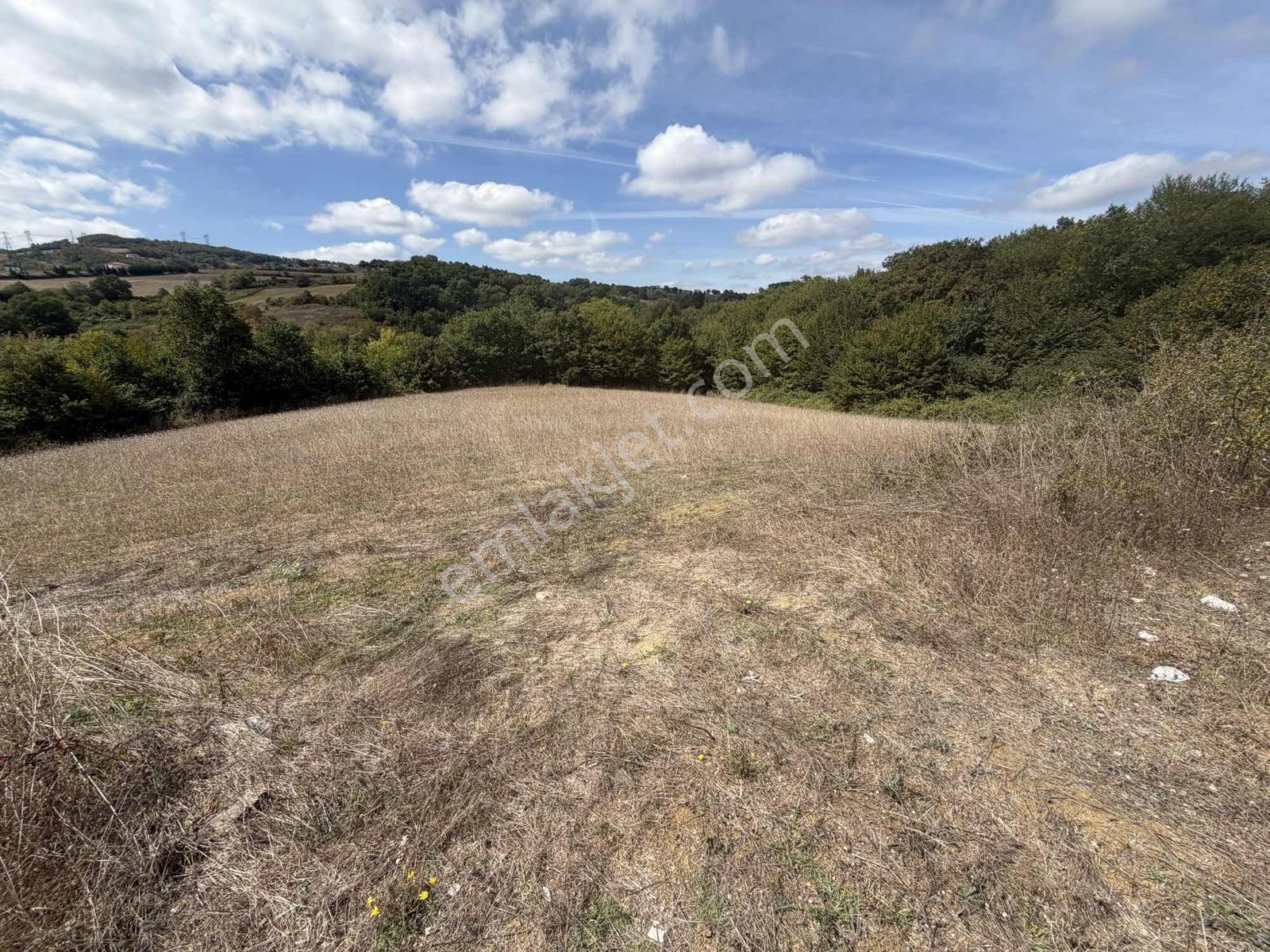Kocaeli İzmit Kısalar, Yola Cephe 6251 M2 Tarla — fotoğraf 3