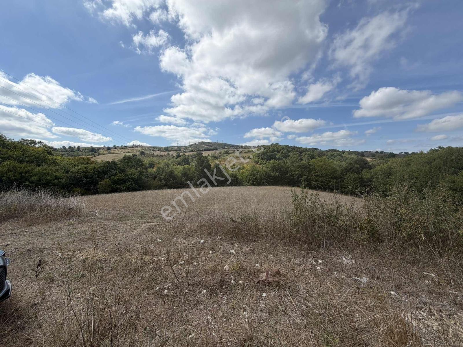 Kocaeli İzmit Kısalar, Yola Cephe 6251 M2 Tarla — fotoğraf 4