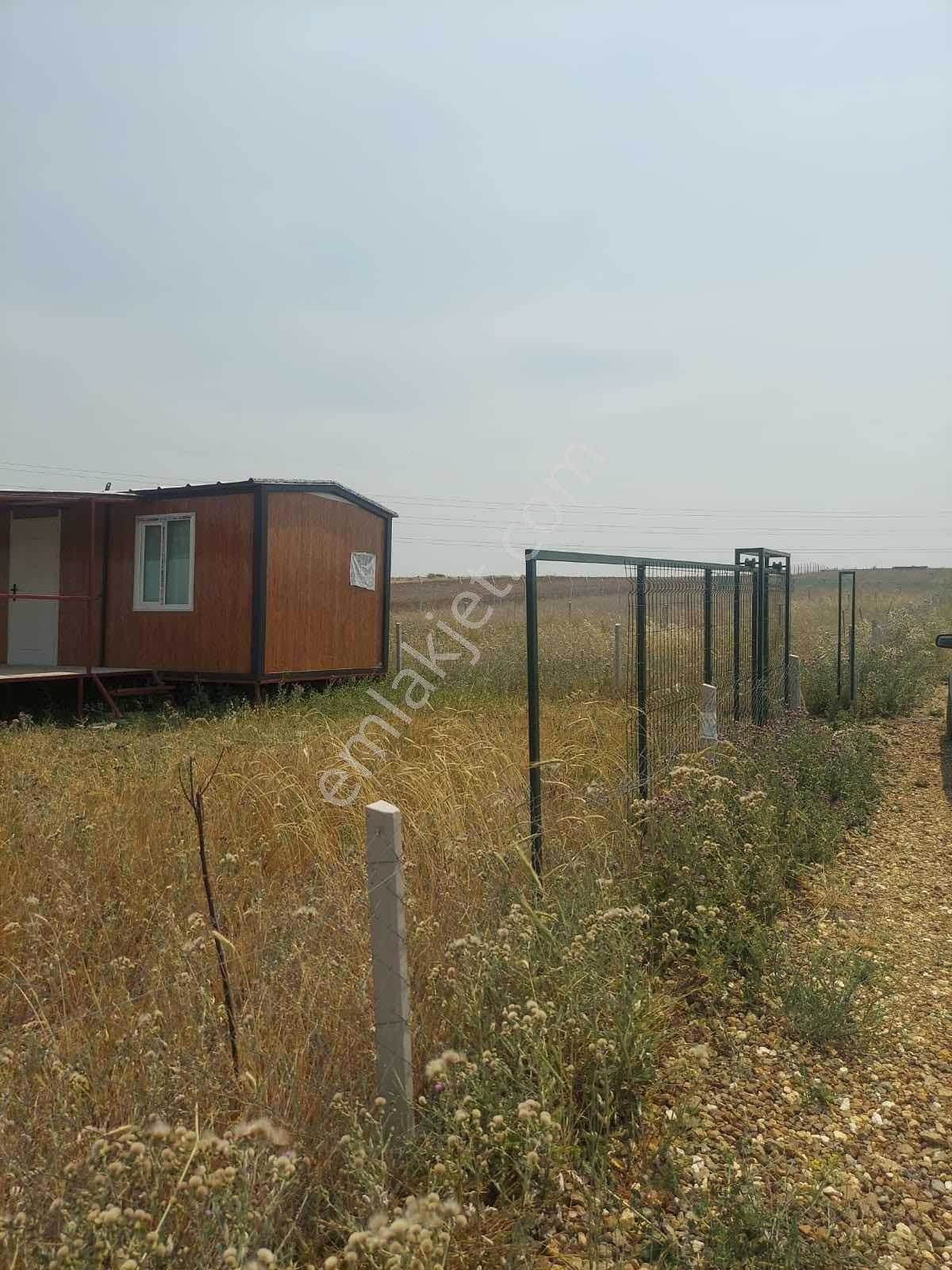 As-kütahya Yolu Üzeri Satılık Konteynır Dahil Hobi Bahçesi — fotoğraf 5