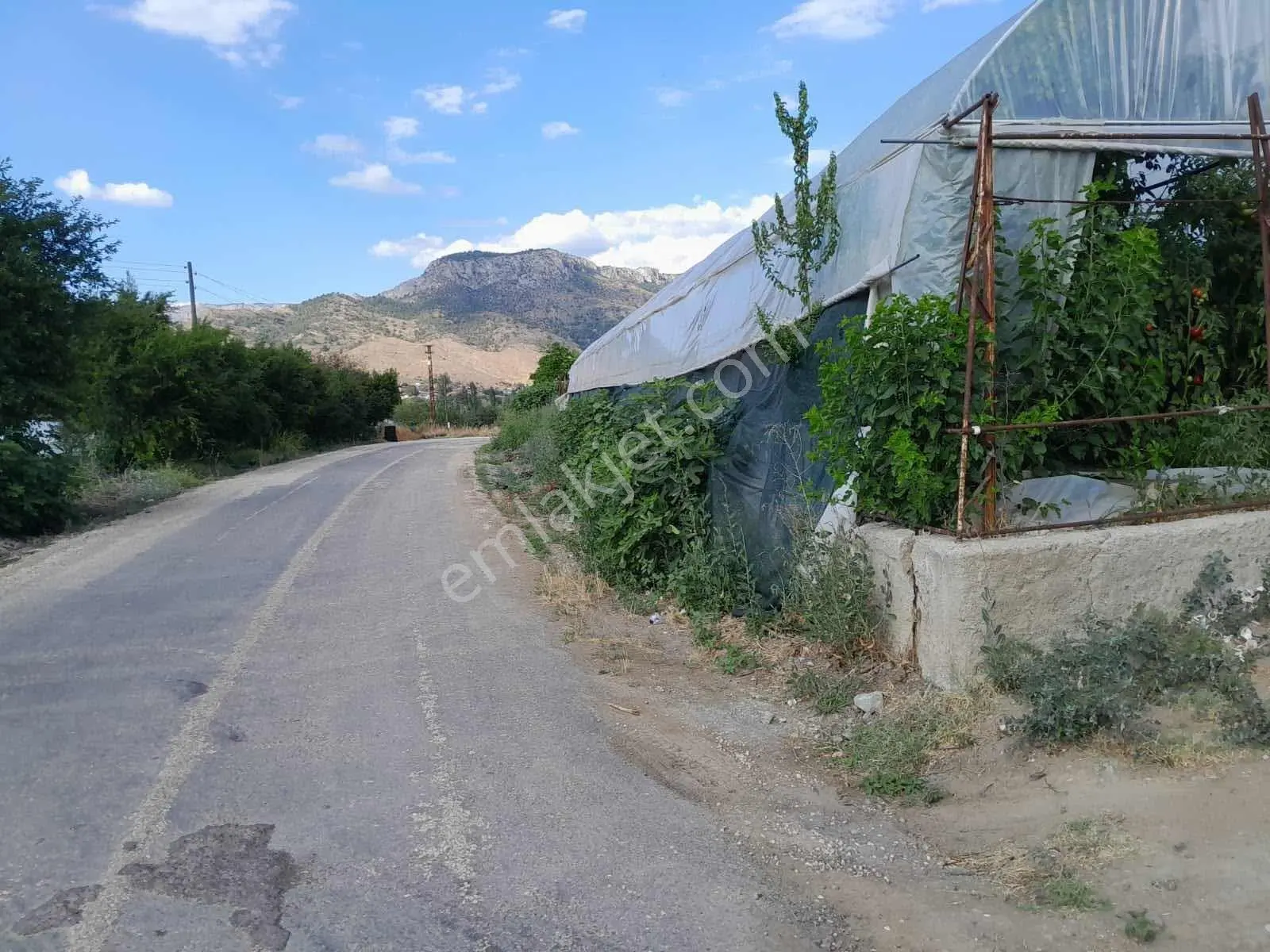 As-inhisarda Doğayla İç İçe Eşsiz Yaşam Alanı — fotoğraf 15
