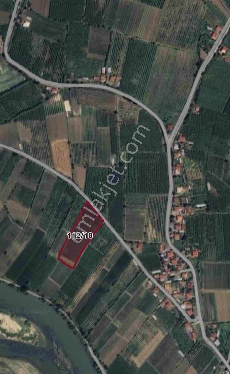 Samsun Çarşambada Satılık 11.341 M2 Verimli Tarla — fotoğraf 3