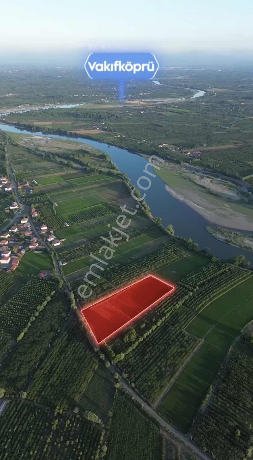 Samsun Çarşambada Satılık 11.341 M2 Verimli Tarla — fotoğraf 5