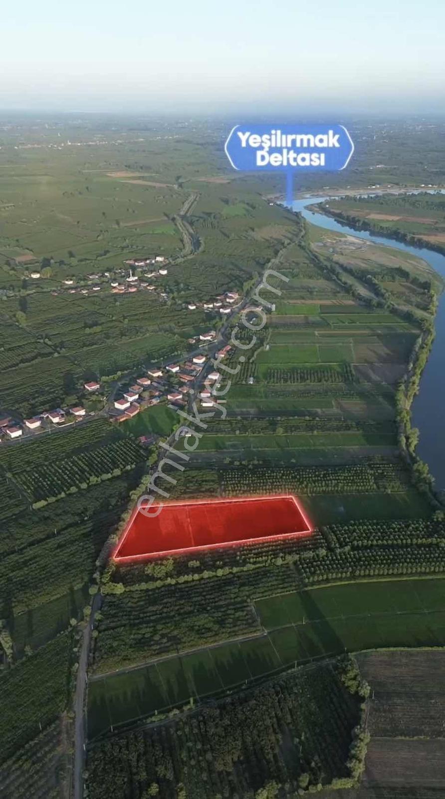 Samsun Çarşambada Satılık 11.341 M2 Verimli Tarla — fotoğraf 6