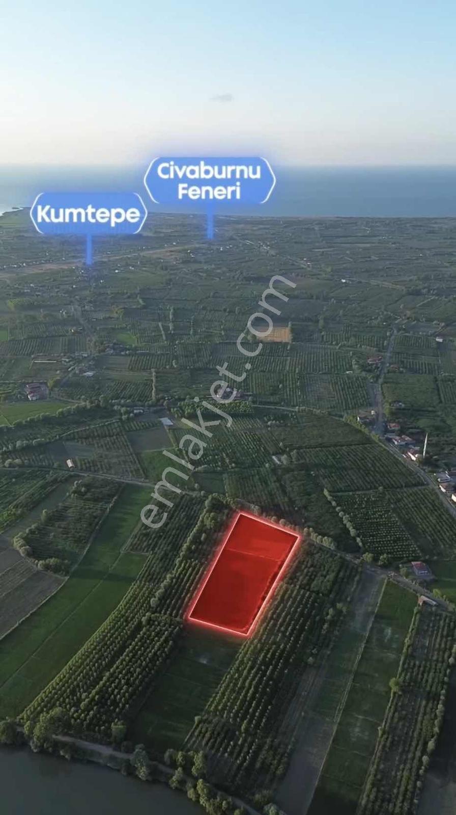 Samsun Çarşambada Satılık 11.341 M2 Verimli Tarla — fotoğraf 8