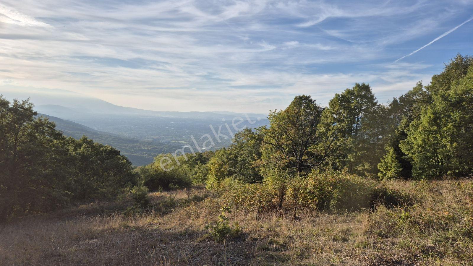 İnegöl Hamitabatta Uygun Fiyat 6.377 M2 Tarla — fotoğraf 3