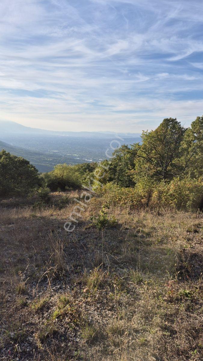 İnegöl Hamitabatta Uygun Fiyat 6.377 M2 Tarla — fotoğraf 4