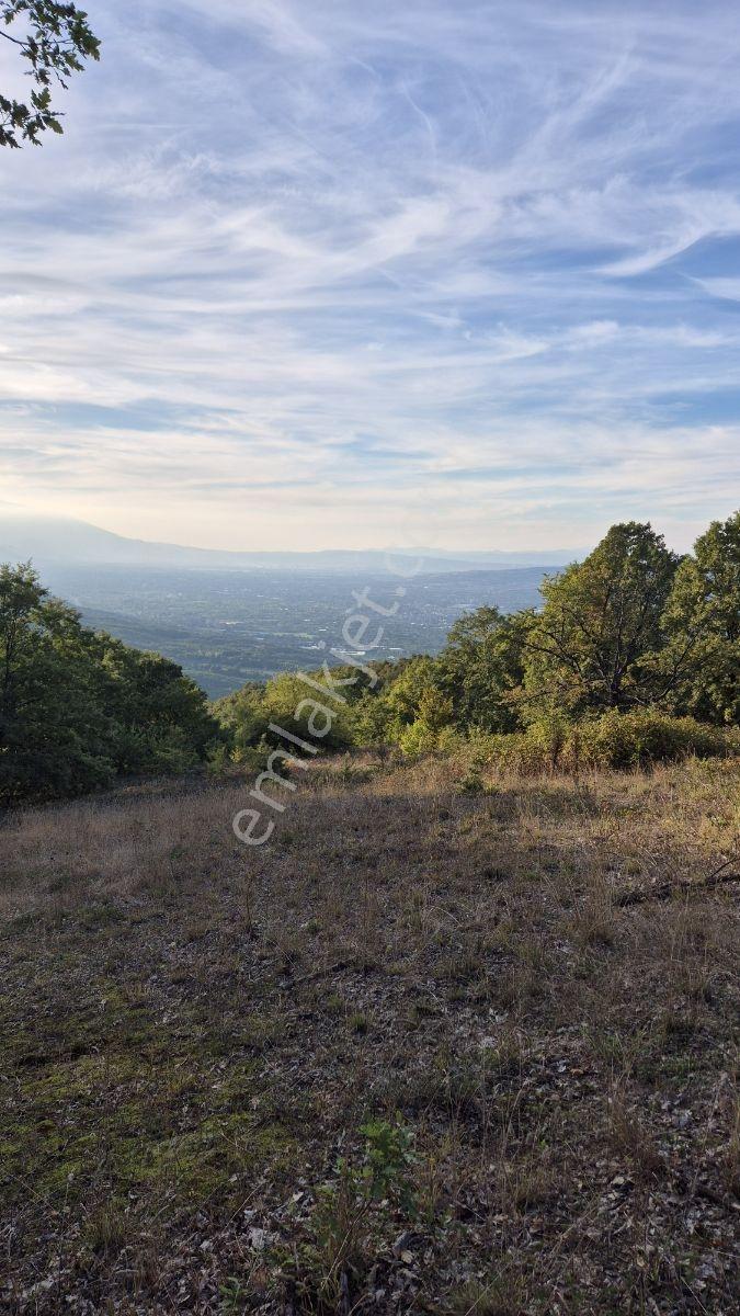 İnegöl Hamitabatta Uygun Fiyat 6.377 M2 Tarla — fotoğraf 8