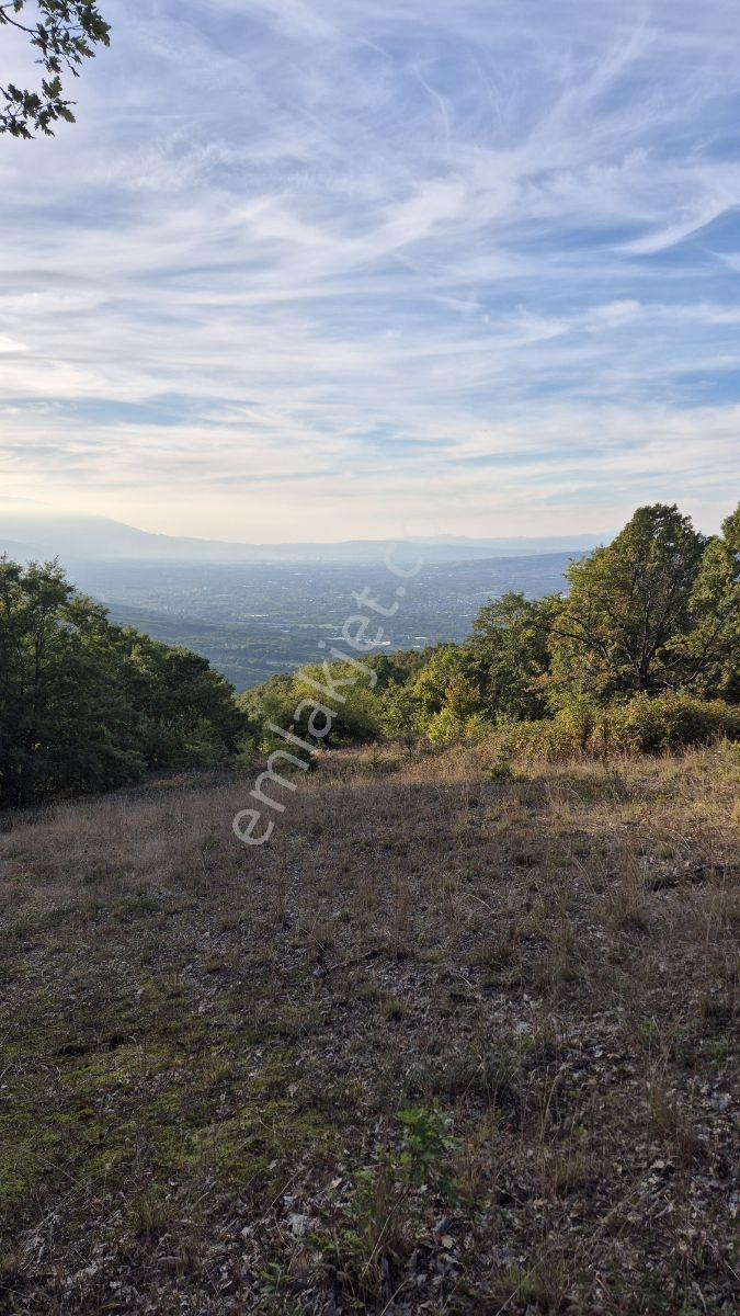 İnegöl Hamitabatta Uygun Fiyat 6.377 M2 Tarla — fotoğraf 9