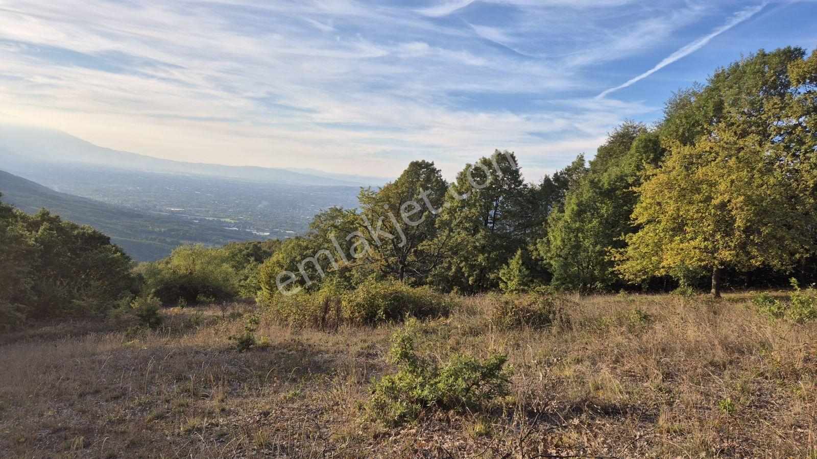 İnegöl Hamitabatta Uygun Fiyat 6.377 M2 Tarla — fotoğraf 10