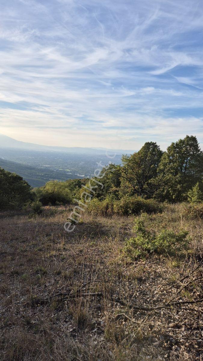 İnegöl Hamitabatta Uygun Fiyat 6.377 M2 Tarla — fotoğraf 11
