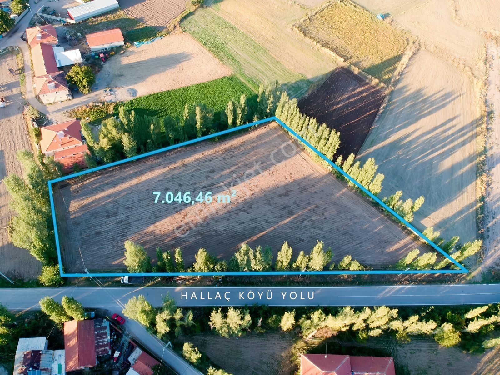 İlbey // Şuhut Mahmut Köyü-hallaç Yolunda Satılık 7.046 M² Tarla — fotoğraf 2