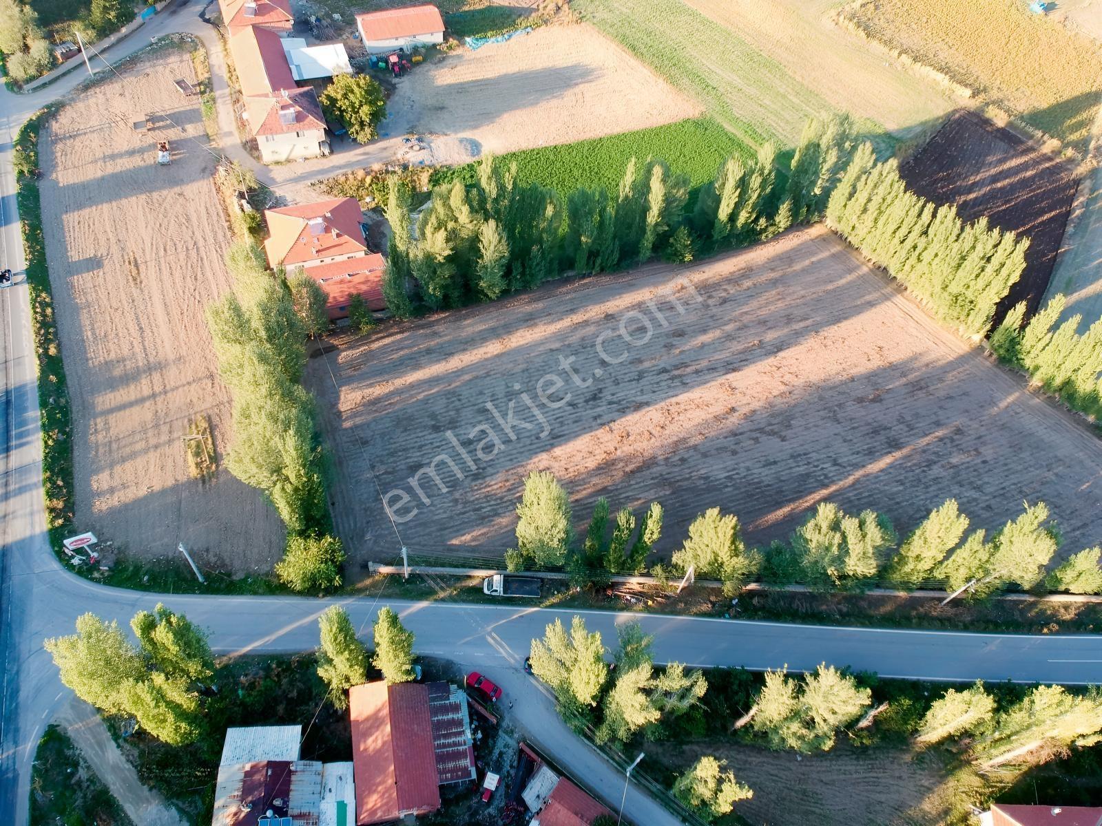 İlbey // Şuhut Mahmut Köyü-hallaç Yolunda Satılık 7.046 M² Tarla — fotoğraf 3
