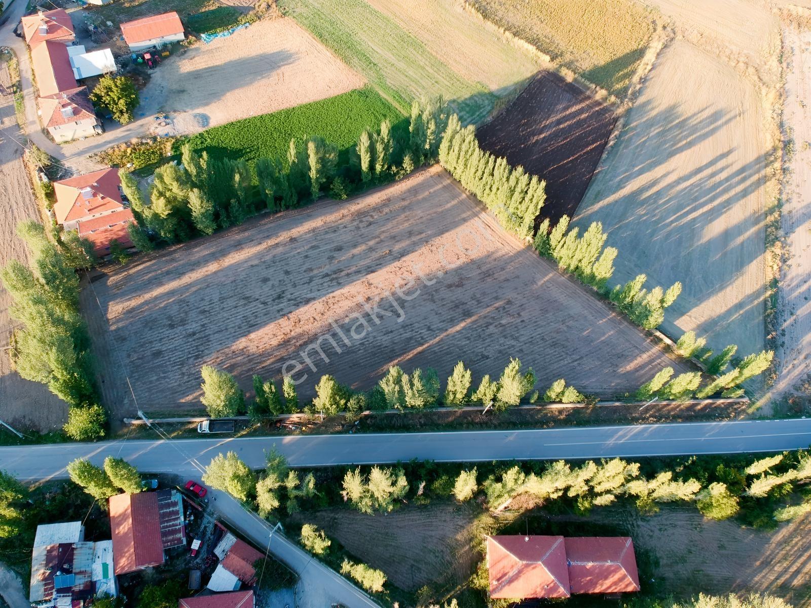 İlbey // Şuhut Mahmut Köyü-hallaç Yolunda Satılık 7.046 M² Tarla — fotoğraf 4