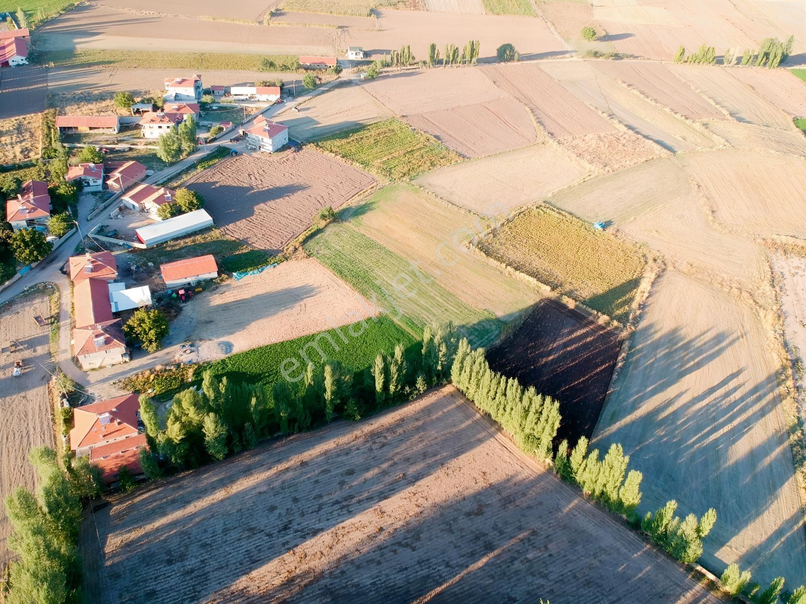 İlbey // Şuhut Mahmut Köyü-hallaç Yolunda Satılık 7.046 M² Tarla — fotoğraf 5