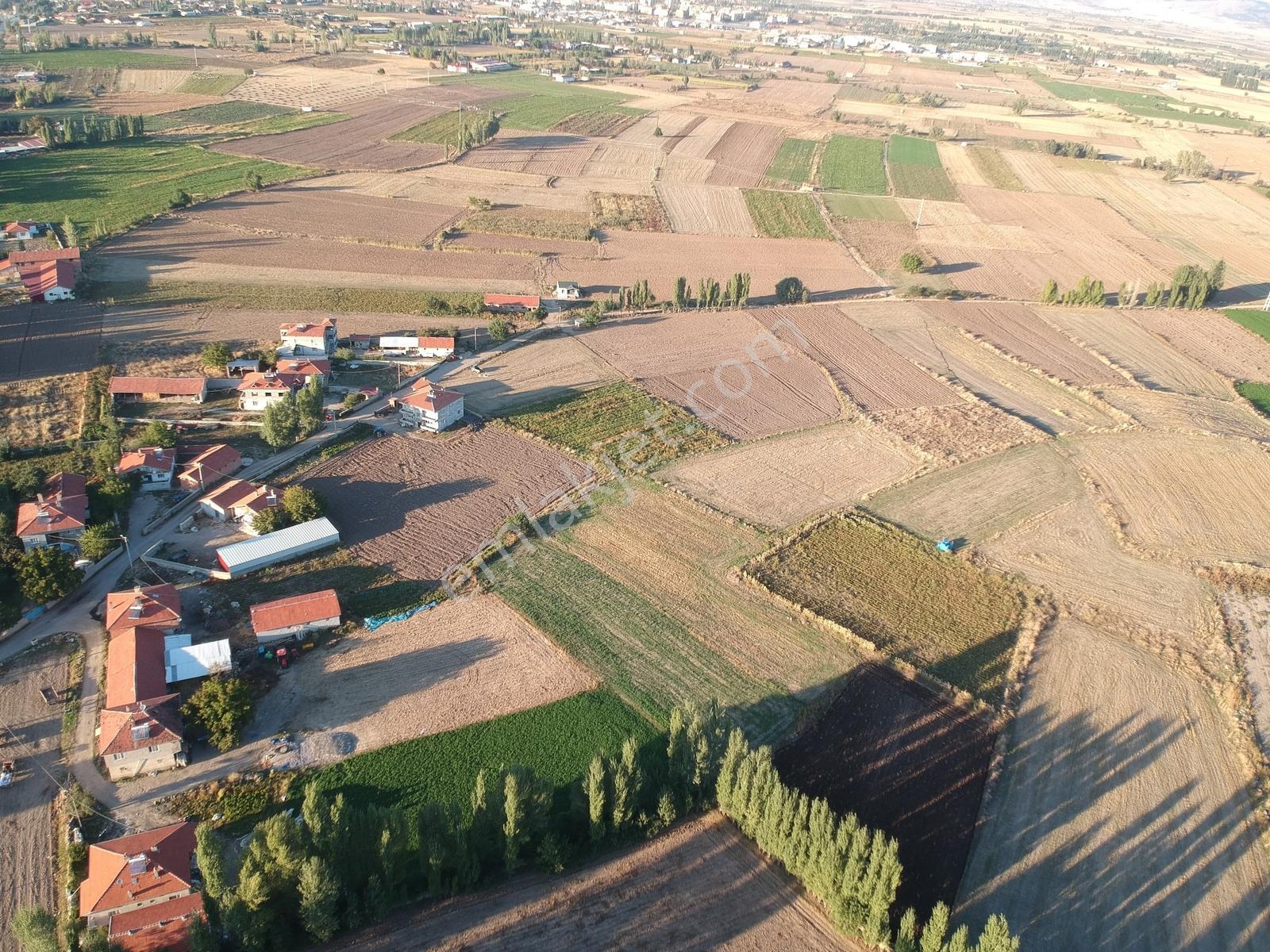 İlbey // Şuhut Mahmut Köyü-hallaç Yolunda Satılık 7.046 M² Tarla — fotoğraf 6