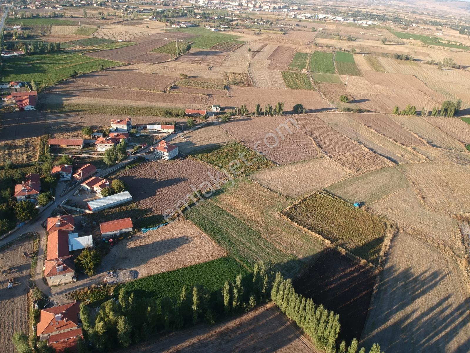 İlbey // Şuhut Mahmut Köyü-hallaç Yolunda Satılık 7.046 M² Tarla — fotoğraf 7