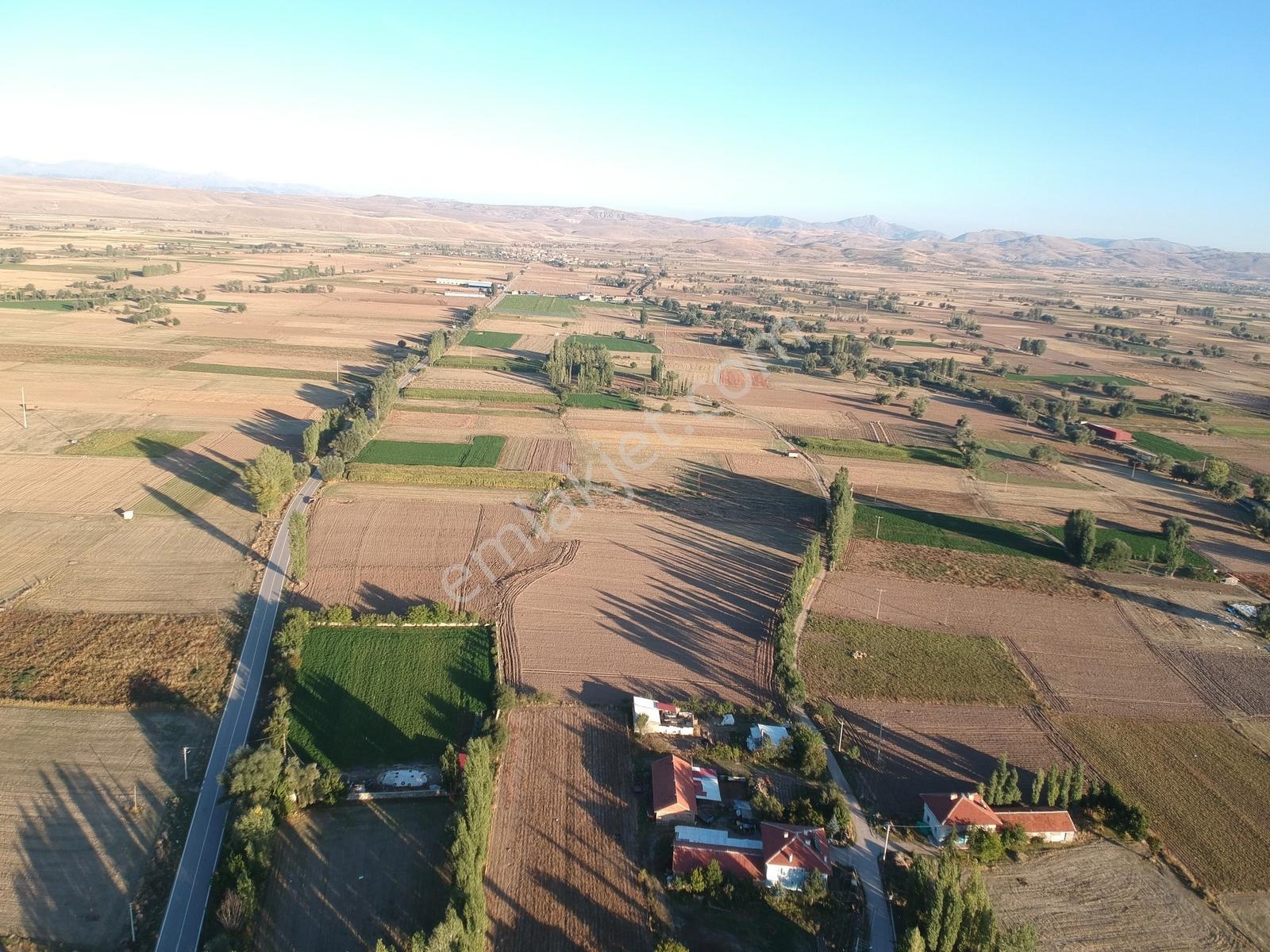 İlbey // Şuhut Mahmut Köyü-hallaç Yolunda Satılık 7.046 M² Tarla — fotoğraf 10
