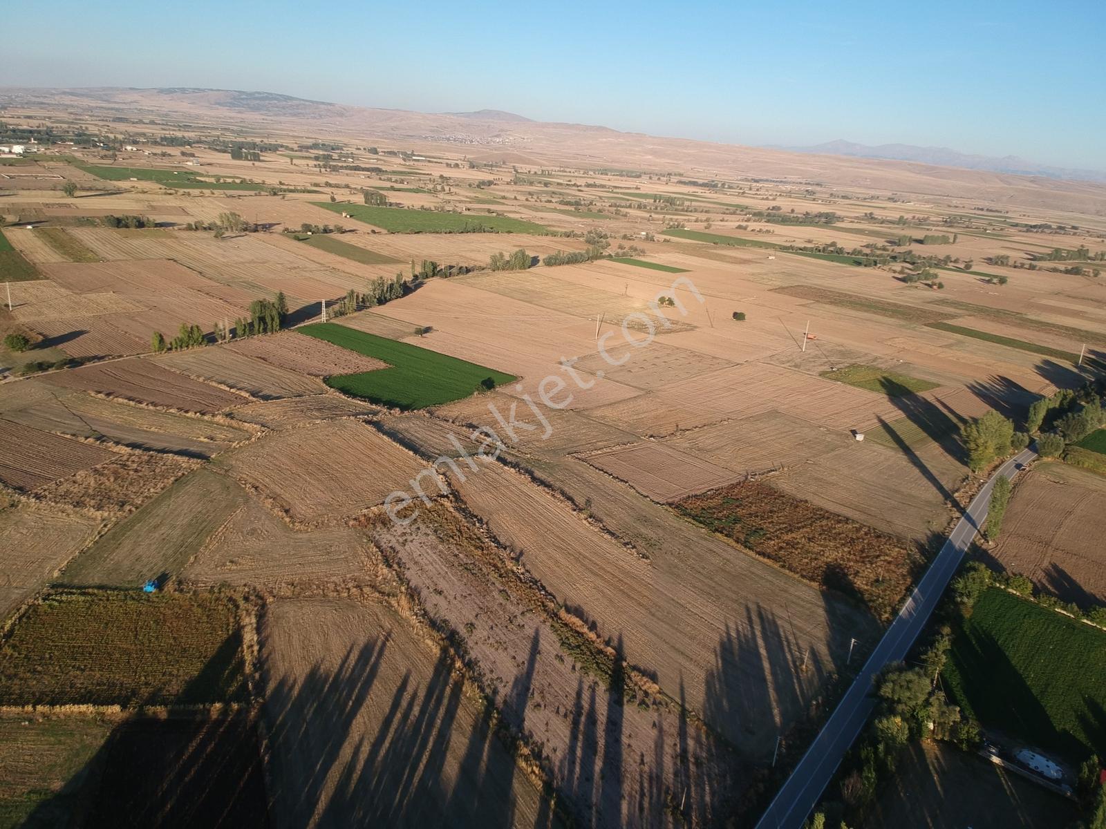 İlbey // Şuhut Mahmut Köyü-hallaç Yolunda Satılık 7.046 M² Tarla — fotoğraf 12