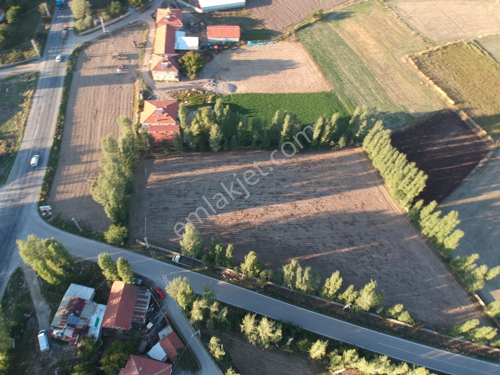 İlbey // Şuhut Mahmut Köyü-hallaç Yolunda Satılık 7.046 M² Tarla — fotoğraf 15