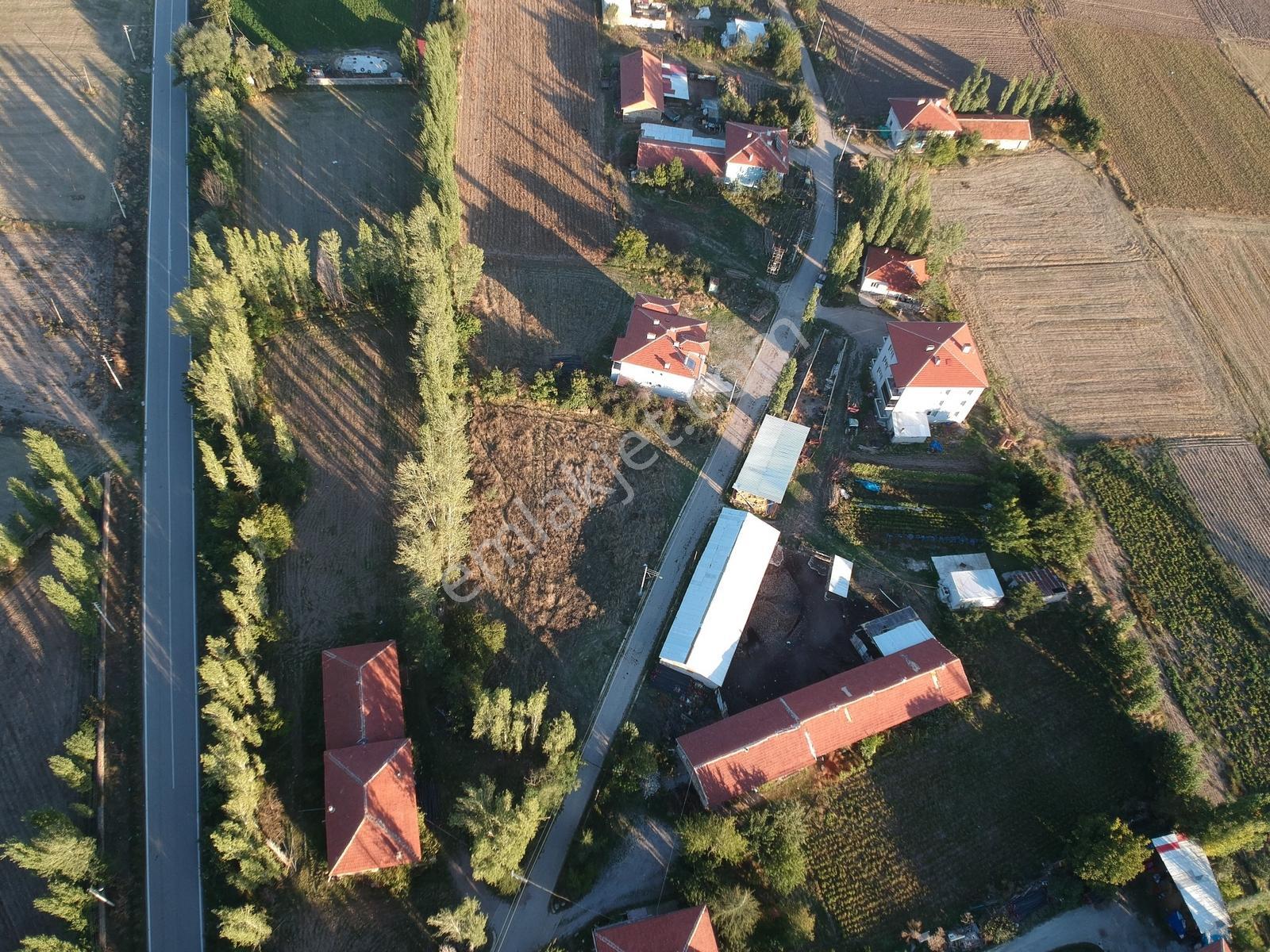 İlbey // Şuhut Mahmut Köyü-hallaç Yolunda Satılık 7.046 M² Tarla — fotoğraf 18