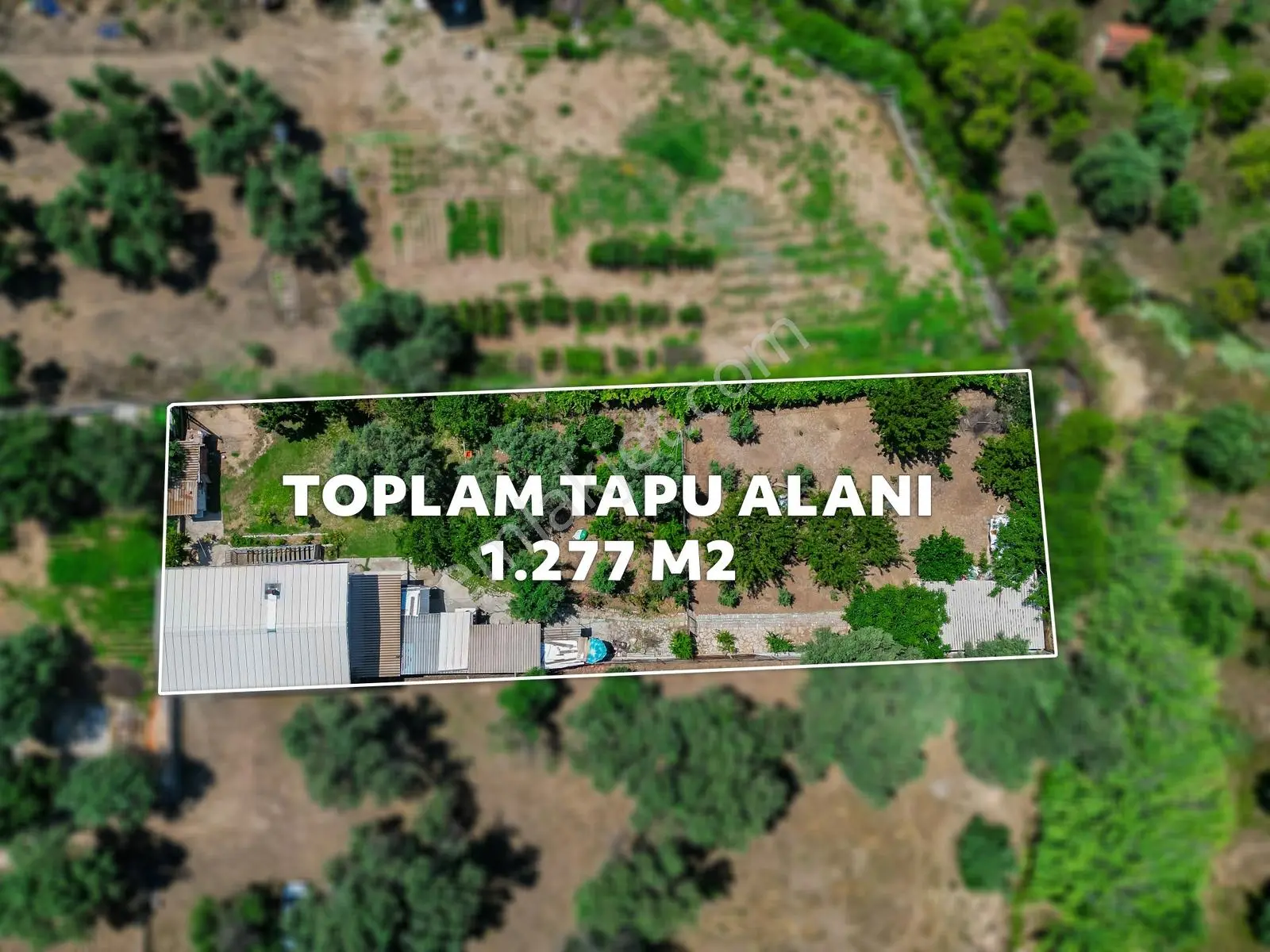 Foça Yeniköy'de 1.277 M2 Arsa Üzerinde Satılık Müstakil Ev — fotoğraf 2