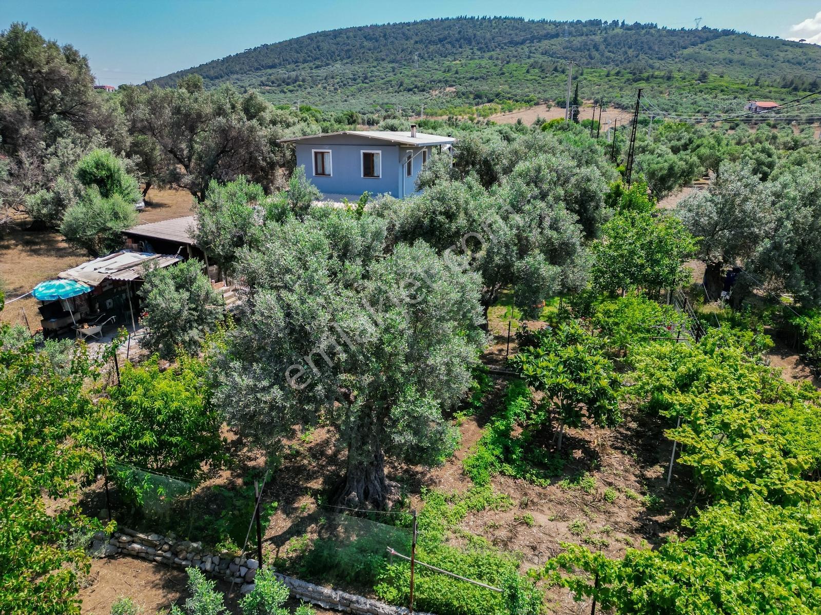Foça Yeniköy'de 1.277 M2 Arsa Üzerinde Satılık Müstakil Ev — fotoğraf 23