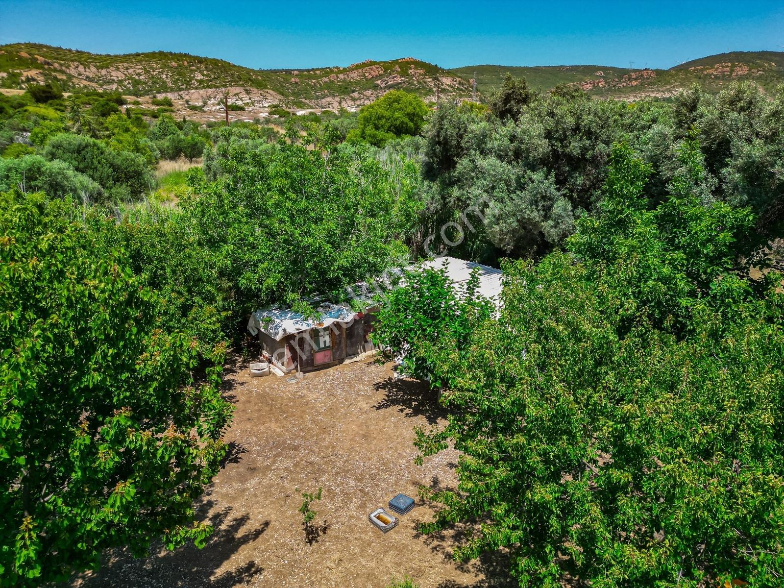 Foça Yeniköy'de 1.277 M2 Arsa Üzerinde Satılık Müstakil Ev — fotoğraf 24