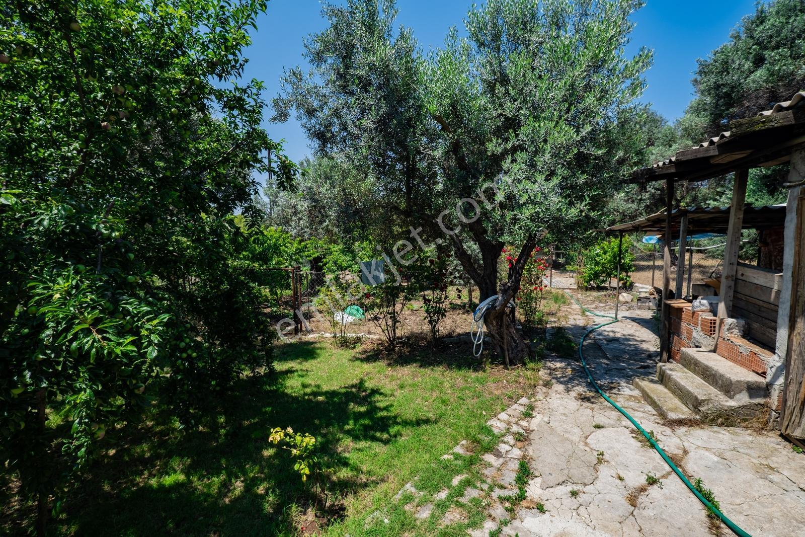 Foça Yeniköy'de 1.277 M2 Arsa Üzerinde Satılık Müstakil Ev — fotoğraf 26