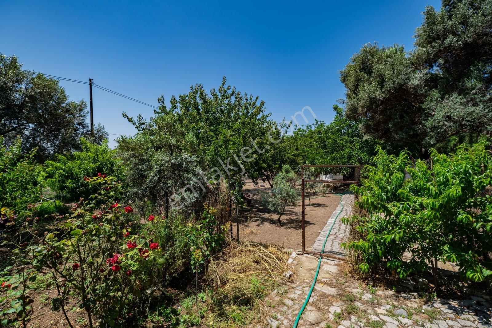 Foça Yeniköy'de 1.277 M2 Arsa Üzerinde Satılık Müstakil Ev — fotoğraf 27