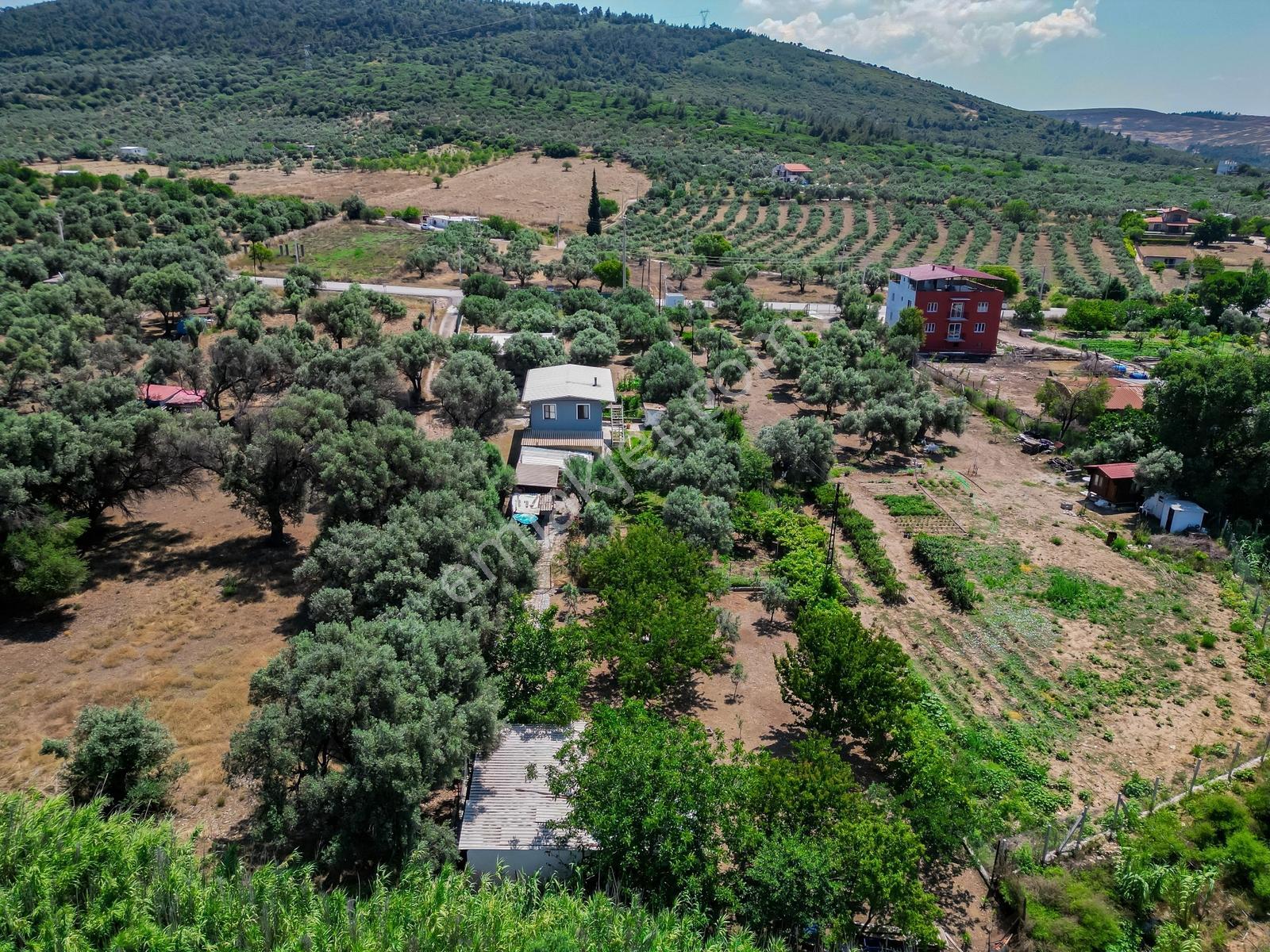 Foça Yeniköy'de 1.277 M2 Arsa Üzerinde Satılık Müstakil Ev — fotoğraf 28