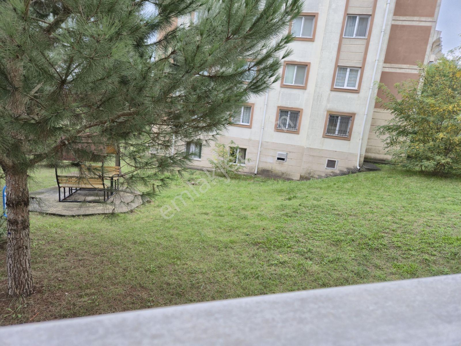 Adaplatinden Adapazarı Korucuk Dorukkent Girişkat 75m2 2+1 Daire — fotoğraf 22