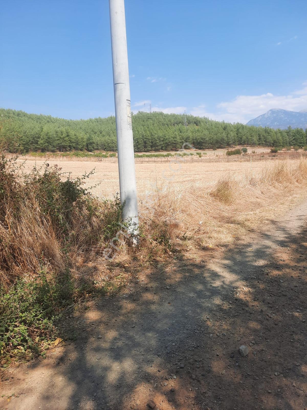 Uğurlu Mh 912 M2 Arazi Satılıktır — fotoğraf 8