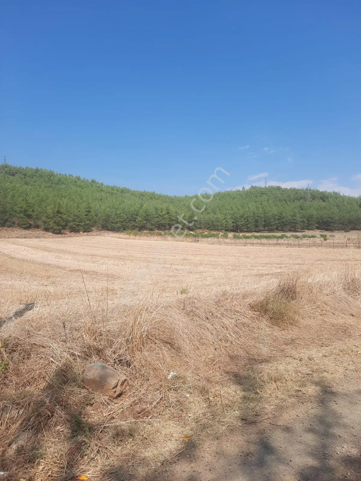 Uğurlu Mh 912 M2 Arazi Satılıktır — fotoğraf 17