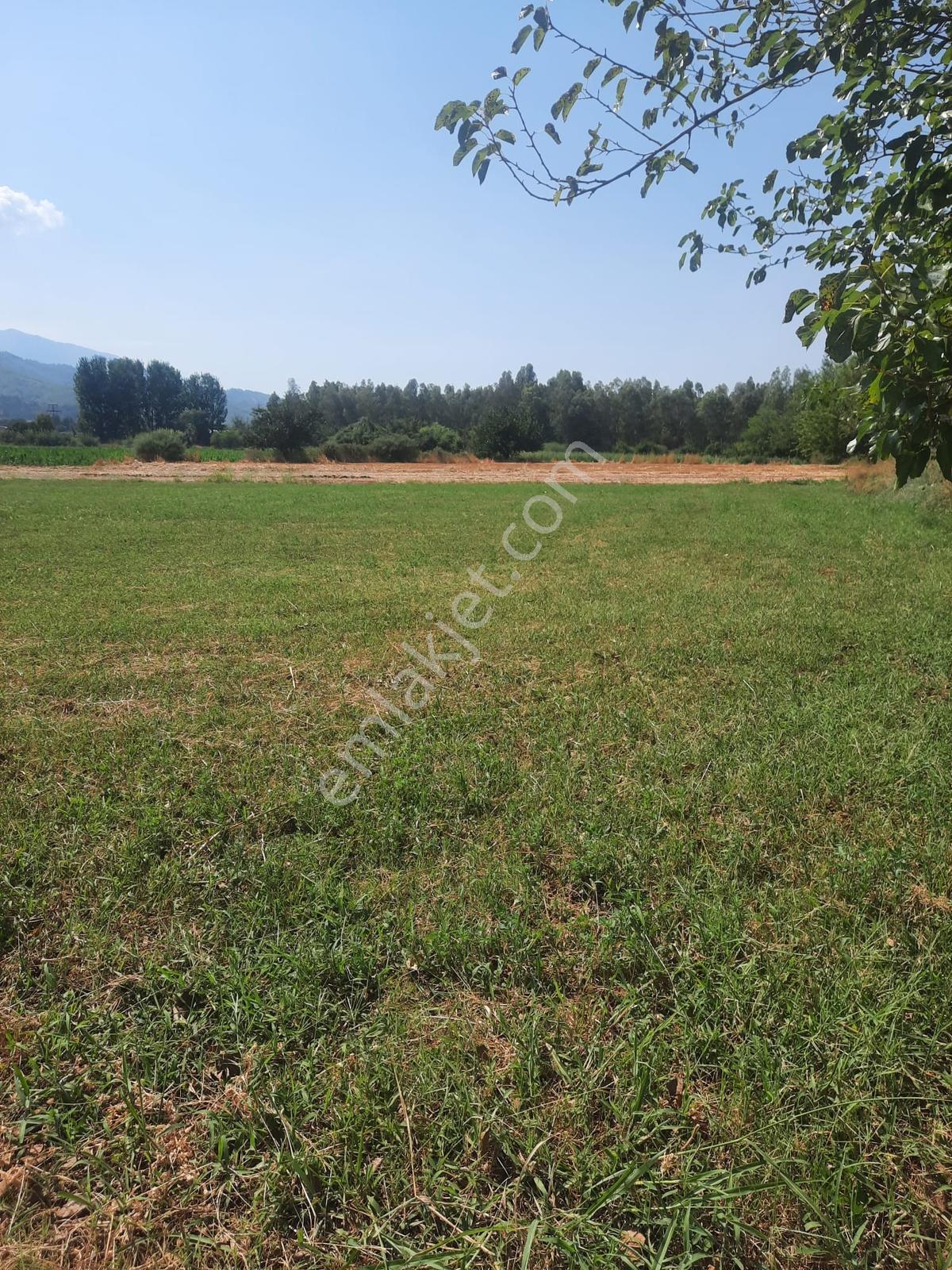Uğurlu Mh 912 M2 Arazi Satılıktır — fotoğraf 19